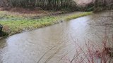 Hochwasser vor der Flutmulde 2021-01