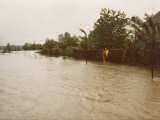 Hochwasser 1983-4