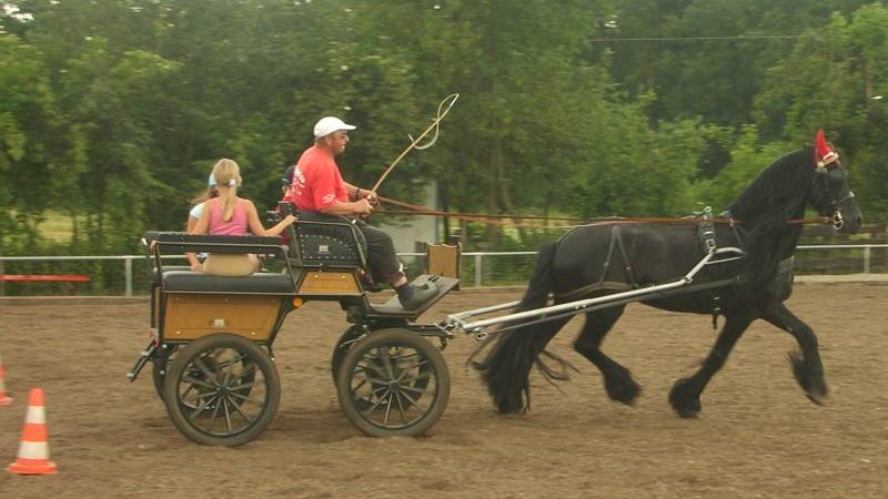 Weiter zu Reitplatz