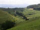 Blick zum Vogelsang-Pass