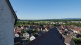 Storchberingung 2019-08