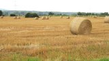 Aufnahme: 31.07.2016-0