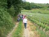 Kräuterwanderung 2008-06