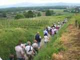 Kräuterwanderung 2008-09