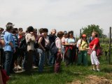 Kräuterwanderung 2009-01