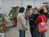 Staudenmarkt 2008-02