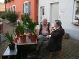 Staudenmarkt 2008-08