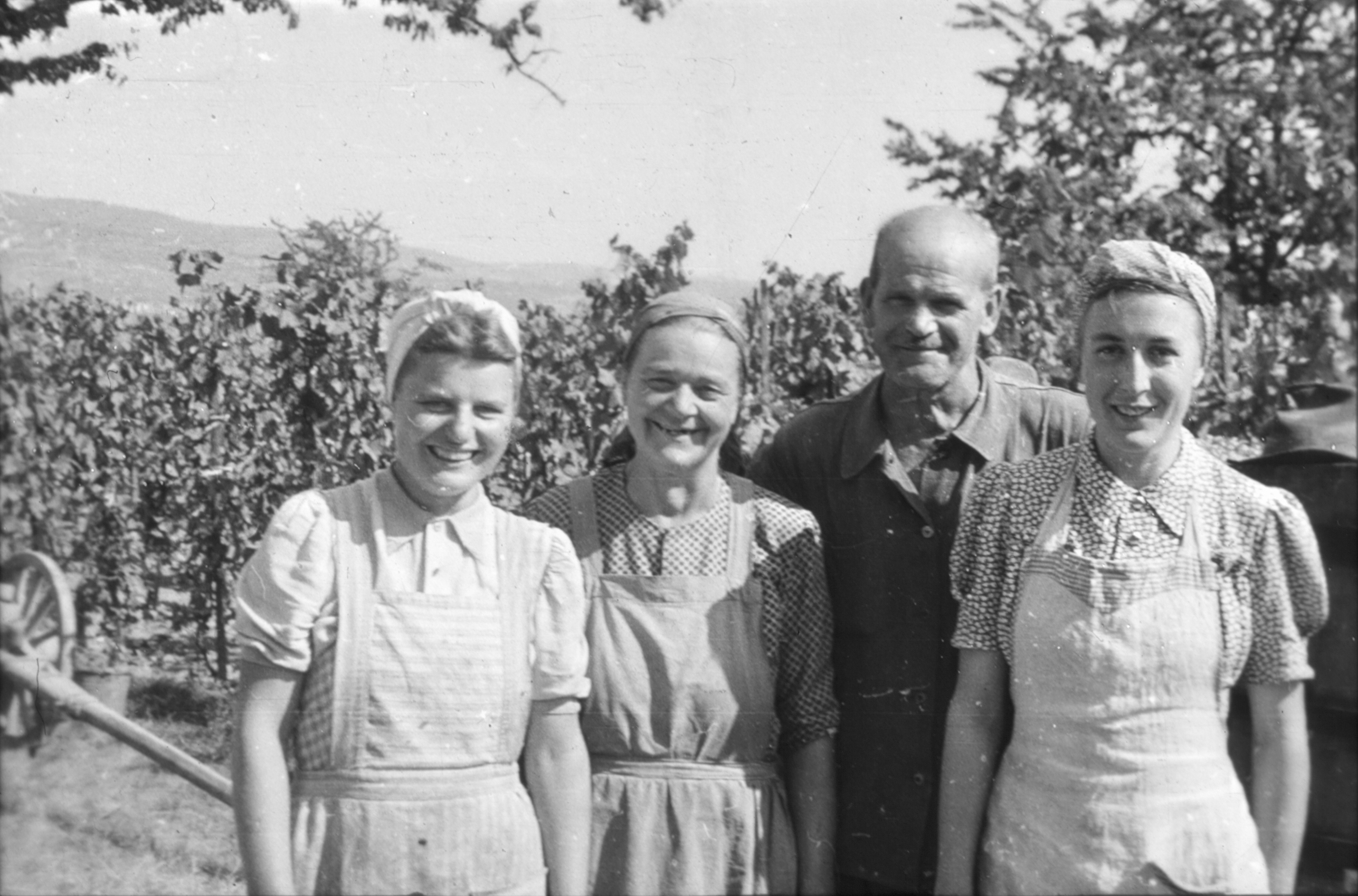 Foto Nr. 0146 Foto Nr. 0146