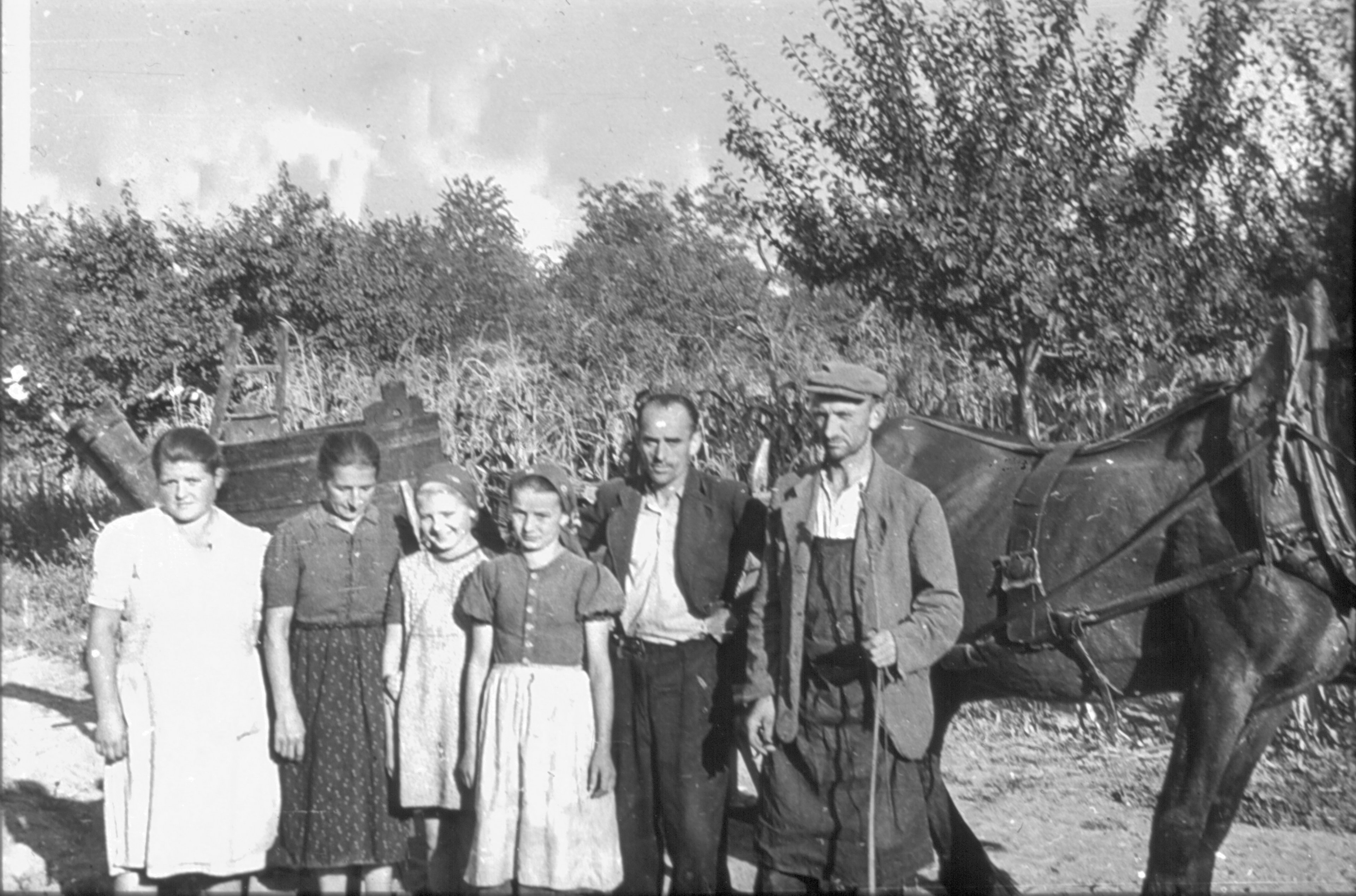 Foto Nr. 0151 Foto Nr. 0151