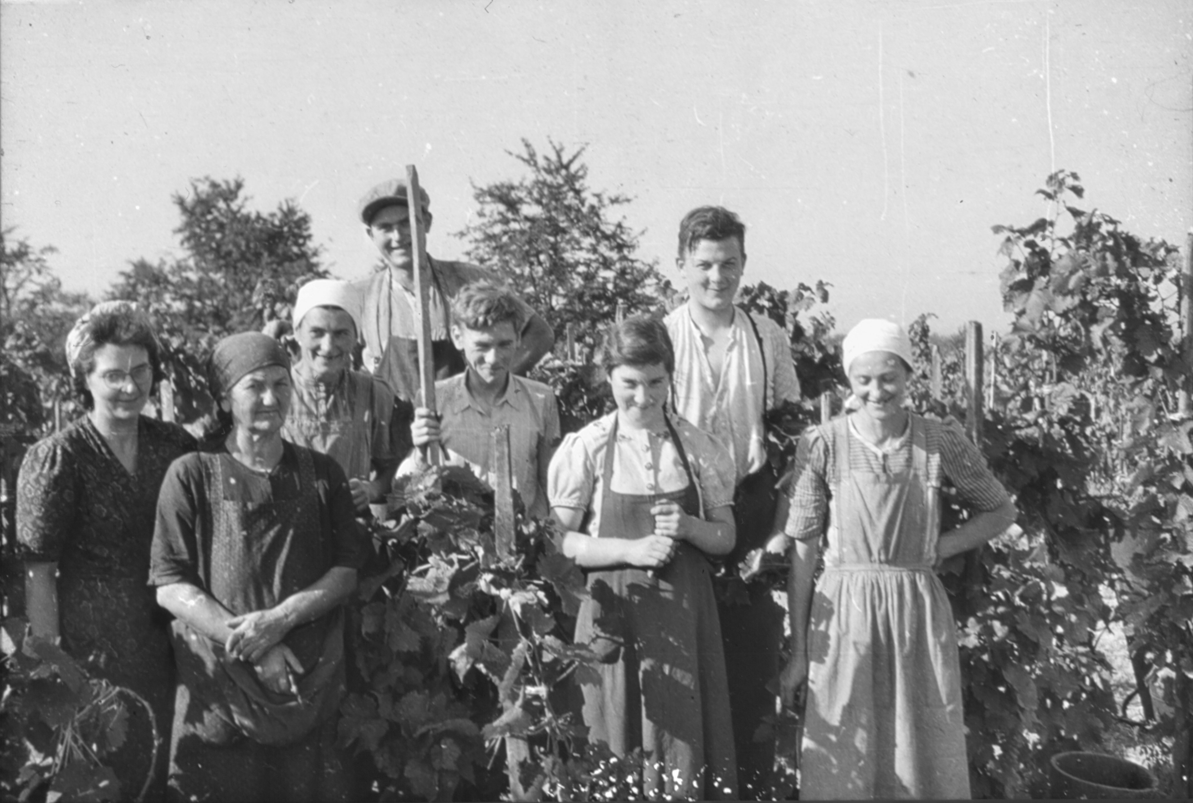 Foto Nr. 0176 Foto Nr. 0176