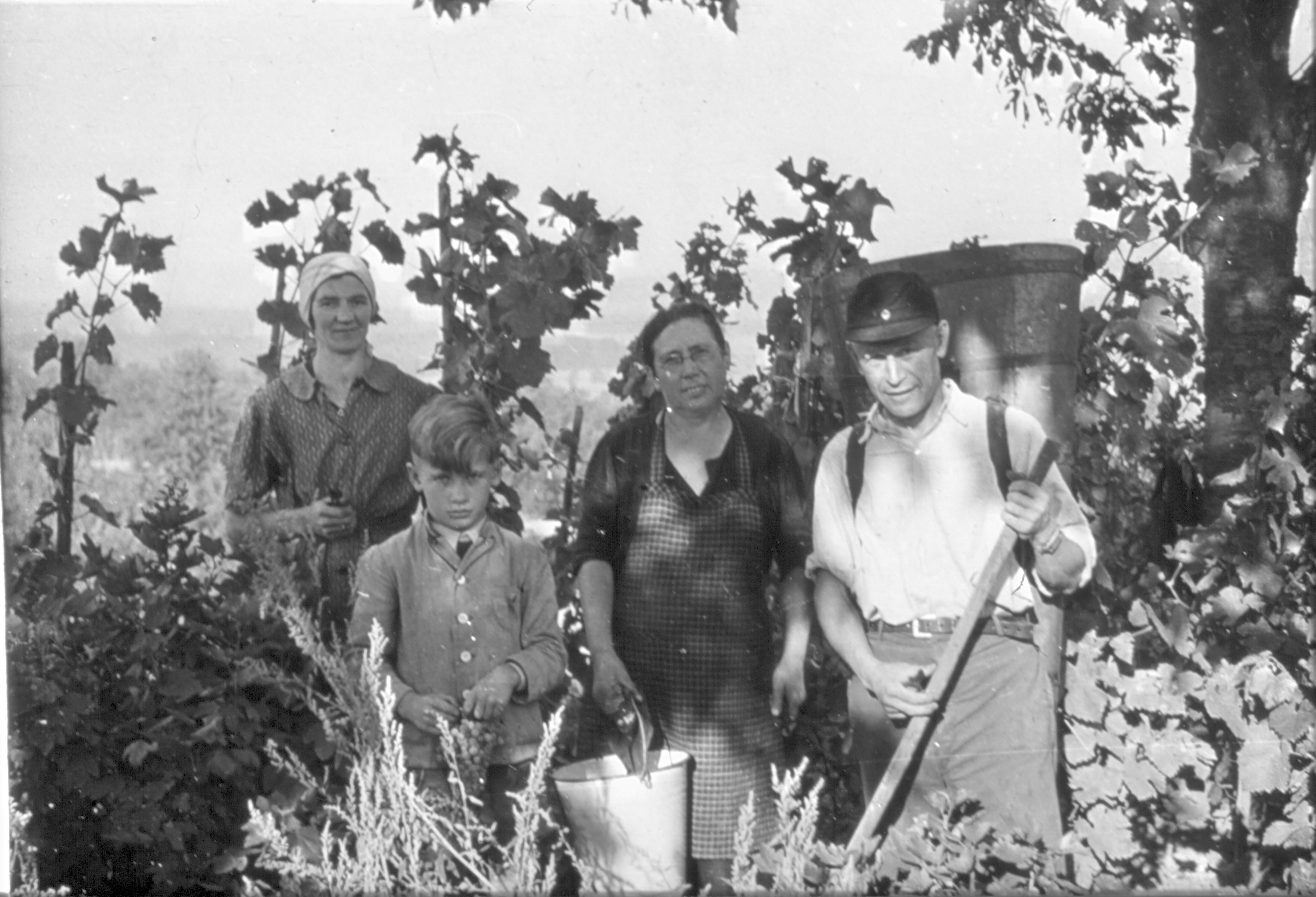 Foto Nr. 0178 Foto Nr. 0178