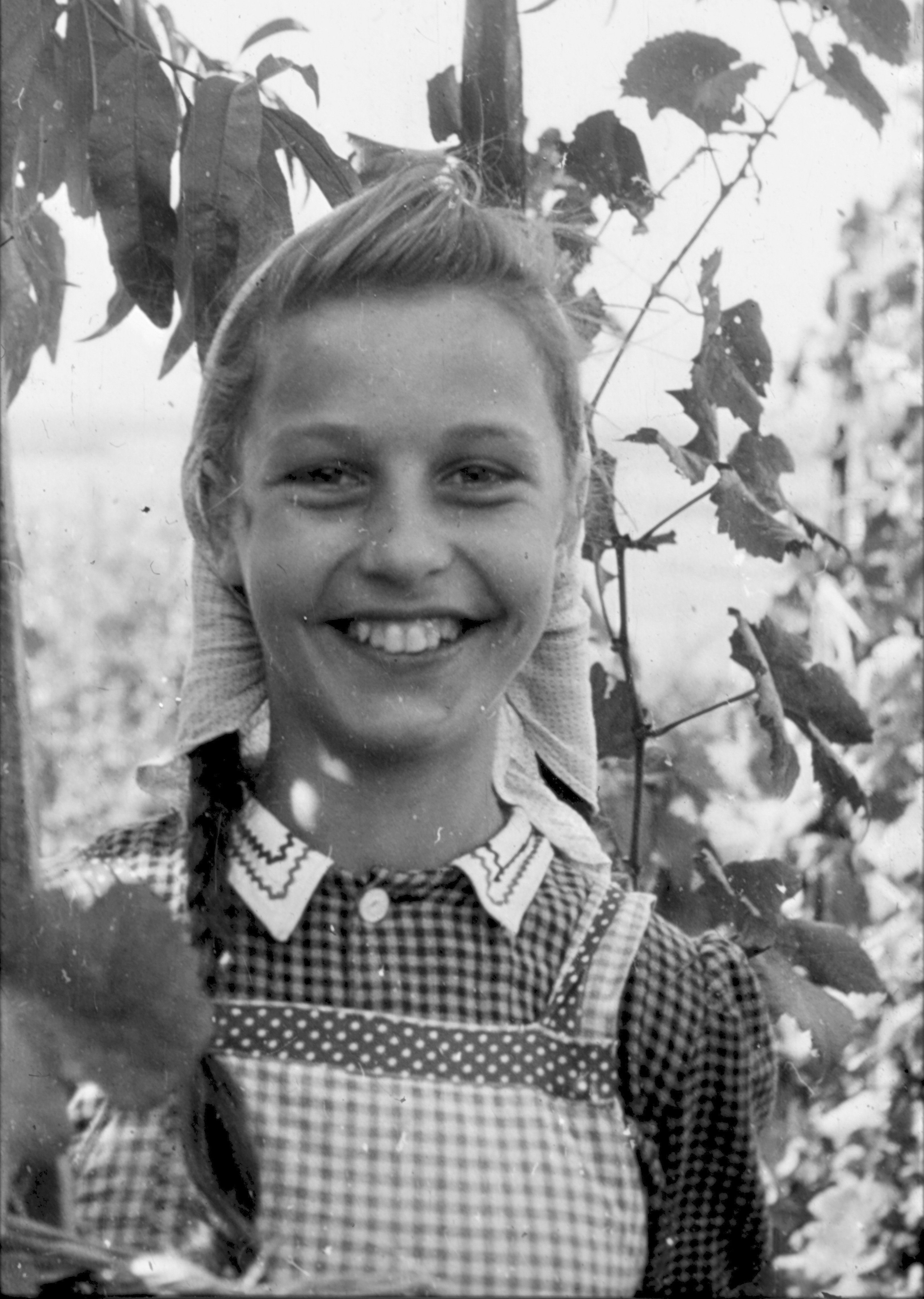 Foto Nr. 0248 Foto Nr. 0248