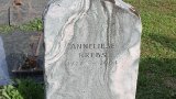20250718_093517s.jpg