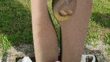 20250718_093713s.jpg