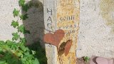20250718_094948s.jpg