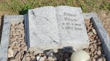 20250719_094334s.jpg