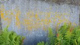 20250719_095232s.jpg