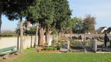 Unterer Friedhof 2014-10