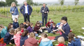 Schulprojekt Weinbau
