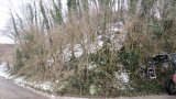 Böschungspflege 2013-11