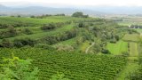 Südspitze Tuniberg mit Ehrentrudis-Kapelle