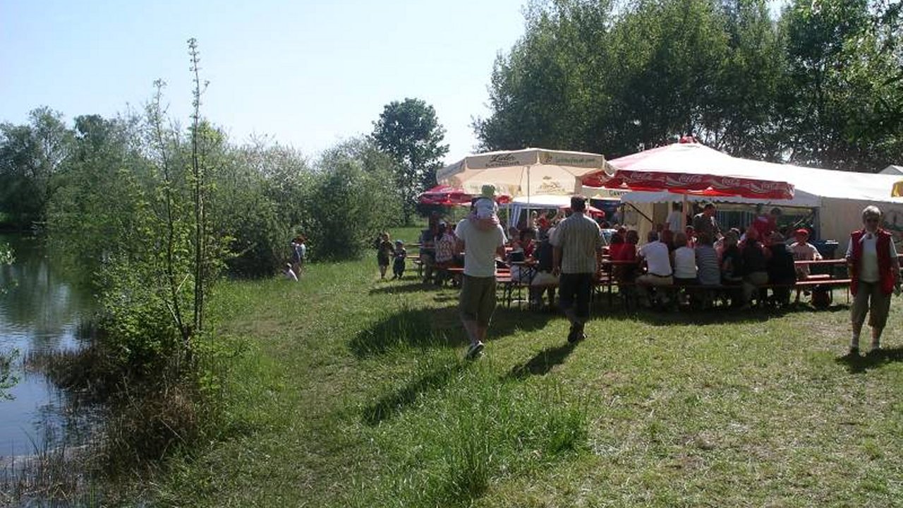 Weiter zu Maifest
