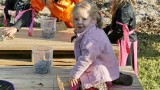 Halloween 2010-12