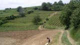 Rebhisli 2009-08