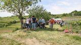 Rebhisli 2009-39
