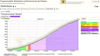 Prognosemodell Traubenwickler