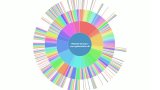 Sunburst-Diagramm