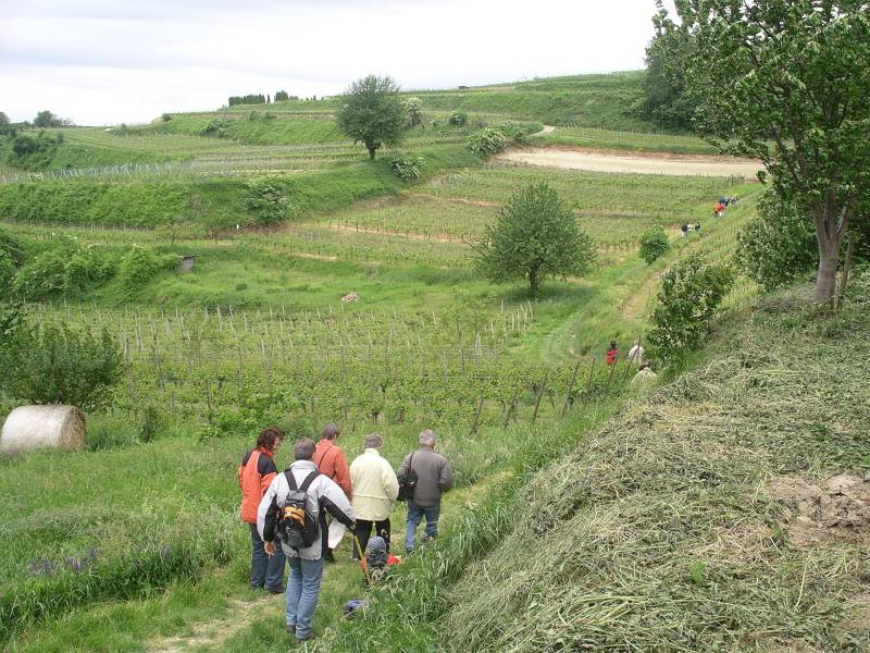 Rebhisli-Tour Wanderung