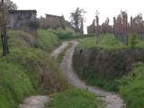 Weinberge hwege_kreuz