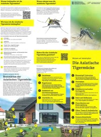 Tigermücke bekämpfen