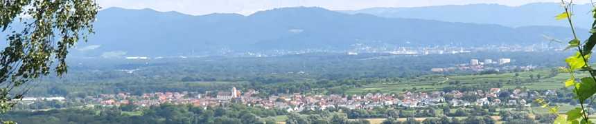 Sicht auf Gottenheim Sicht auf Gottenheim